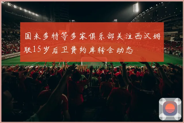 国米多特等多家俱乐部关注西汉姆联15岁后卫费约库转会动态