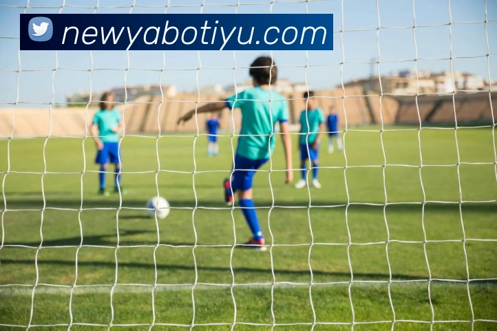 亚博体育APP 封面图