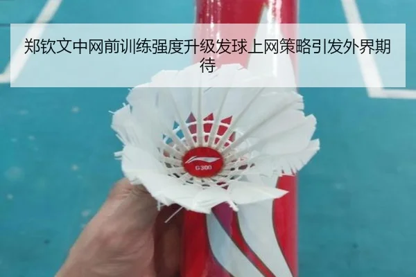郑钦文中网前训练强度升级发球上网策略引发外界期待 - YaboSports